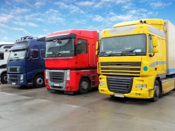 İstanbul Fıstıkağacı Nakliye